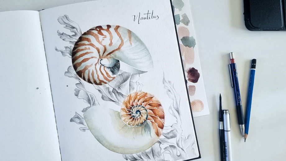 Nautilus | Time-Lapse Part 3